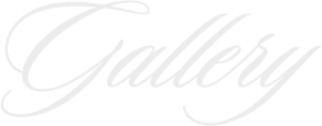 Header-Gallery-Image